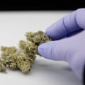 How easy is it to get medical cannabis in uk?